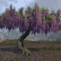 Дерево (фиолетовая глициния)