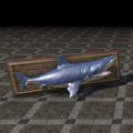 Синяя клыкастая акула (настенный трофей)