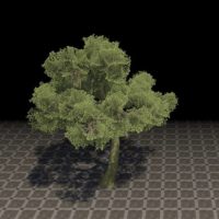 Дерево (замшелый сикомор)