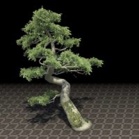 Дерево (древняя саммерсетская ель)