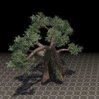 Дерево (гигантский фикус)
