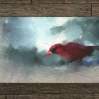 Картина «Красный кардинал зимой» (неоконченная)