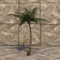 Дерево (маленькая пальма)