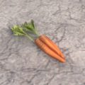 Морковь (восковая)