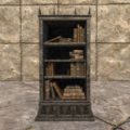 Книжный шкаф из Апокрифа (высокий, мраморный, заполненный)