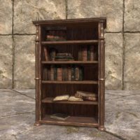 Вампирский книжный шкаф (высокий, заполненный)
