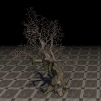 Дерево (древний мёртвый дуб)