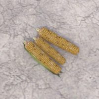 Лейавинская кукуруза (три початка)