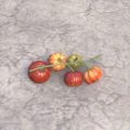 Лейавинские помидоры (на ветке)
