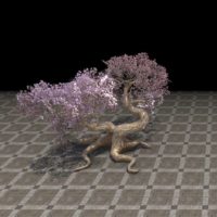 Дерево-фабрикант (раздвоенная цветущая вишня)