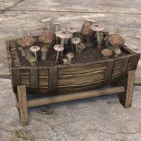 Кадка с грибами (из бочки, на подставке)