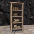 Солитьюдский книжный шкаф (простой, узкий, заполненный)