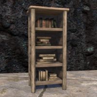 Солитьюдский книжный шкаф (простой, узкий, заполненный)