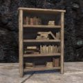 Солитьюдский книжный шкаф (простой, заполненный)