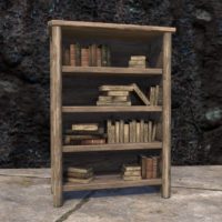 Солитьюдский книжный шкаф (простой, заполненный)